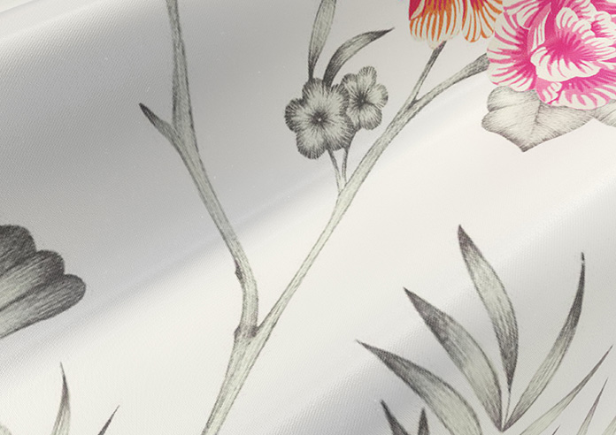 Borneo, Orchid - Roman Blind - Image 4